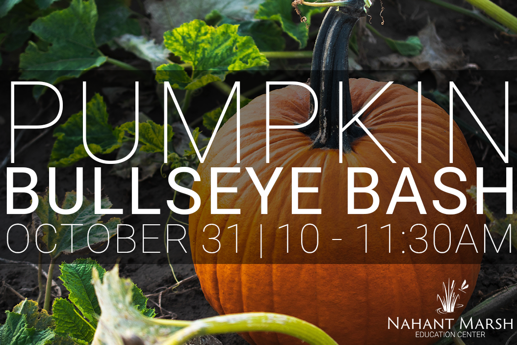 PUMPKIN%20BULLSEYE%20BASH%2026.png